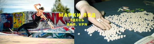 PSILOCYBIN Костерёво