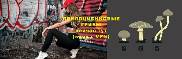 PSILOCYBIN Костерёво