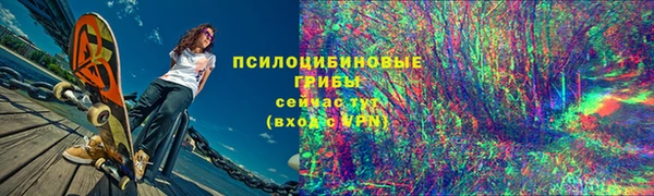 PSILOCYBIN Костерёво