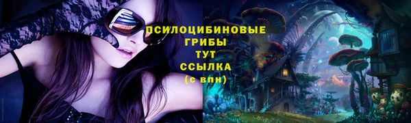 круглые Коряжма